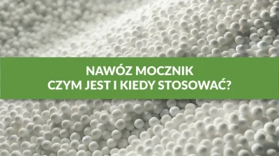 NAWÓZ MOCZNIK - CZYM JEST I KIEDY STOSOWAĆ?