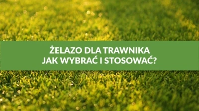 ŻELAZO DLA TRAWNIKA - JAK WYBRAĆ I STOSOWAĆ?